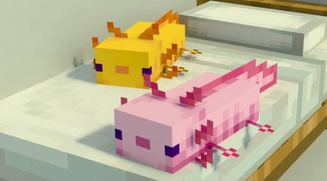 Axolotl Plushies on Beds Textures — screenshot 3