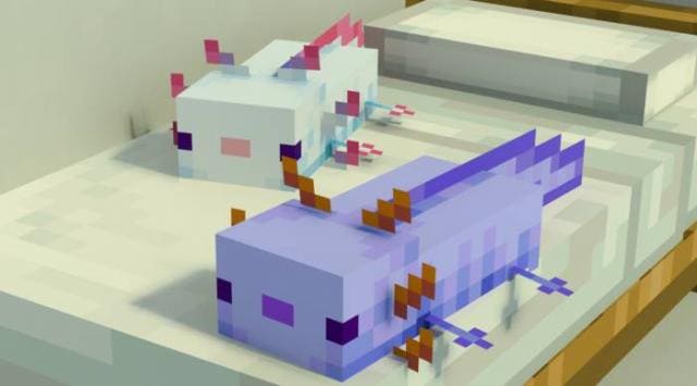 Axolotl Plushies on Beds Textures — screenshot 4
