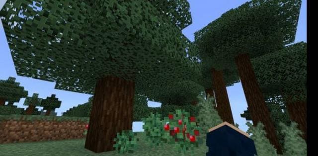LiNet Vanilla Textures — screenshot 3
