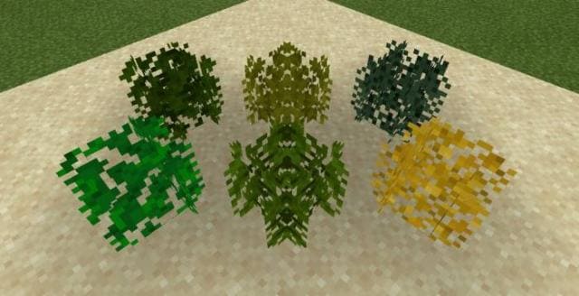 Realistic Trees Textures — screenshot 3