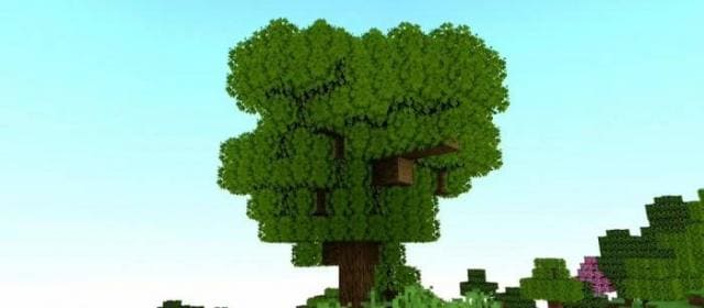 Realistic Trees Textures — screenshot 5