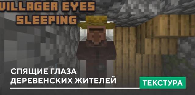Villager Eyes Sleeping Textures — screenshot 1