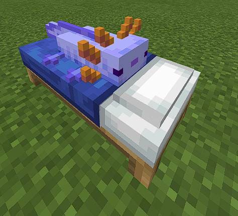 Axolotl Beds Textures — screenshot 2