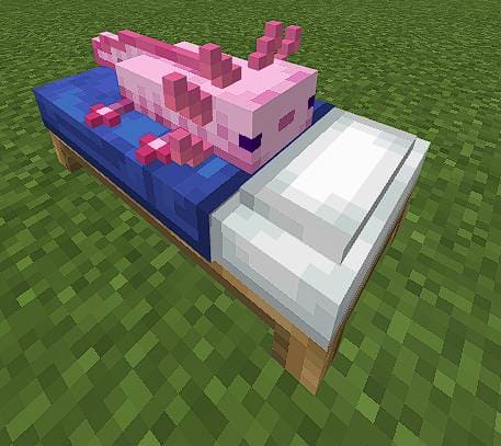 Axolotl Beds Textures — screenshot 3