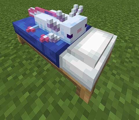 Axolotl Beds Textures — screenshot 4
