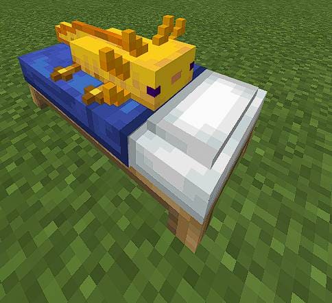 Axolotl Beds Textures — screenshot 5