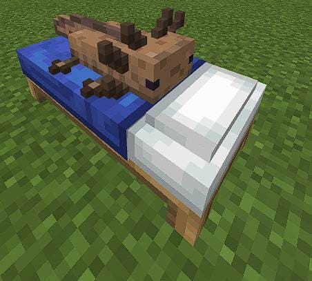 Axolotl Beds Textures — screenshot 6