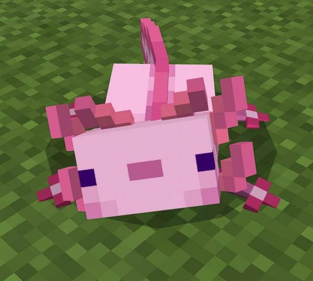 Better Axolotls Textures — screenshot 3