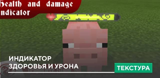 Health and Damage Indicator — screenshot 1