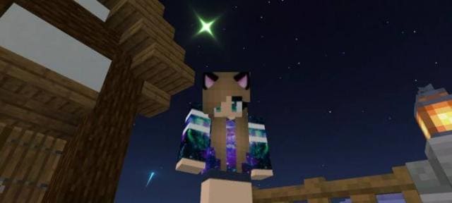 Animated Skins Textures — screenshot 4