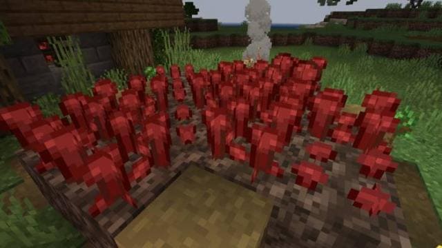 Better Warts Textures — screenshot 2