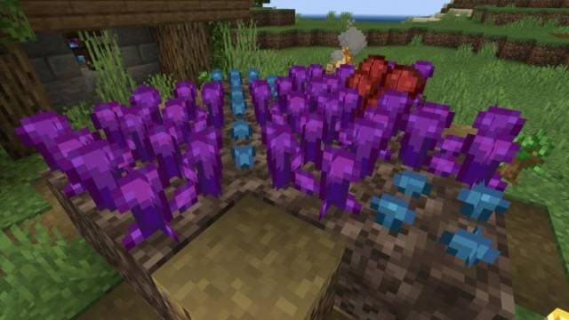 Better Warts Textures — screenshot 3