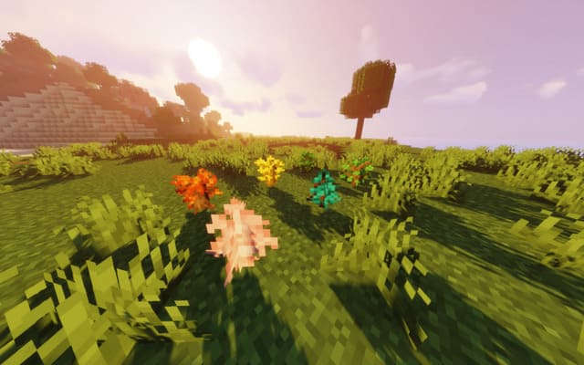 Colorful Flora — screenshot 7