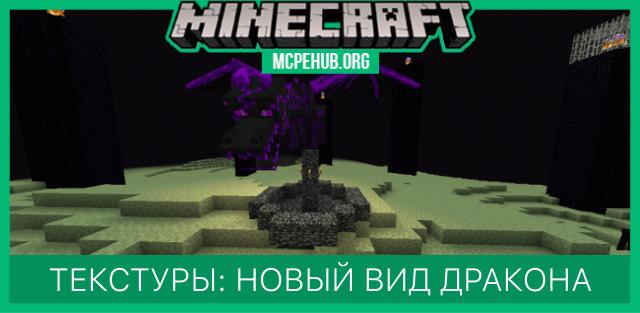 Ender Dragon Wings — screenshot 8