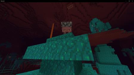 Better Striders Textures — screenshot 4