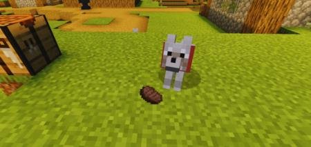 Invisible Frames – Place Items on the Ground Textures — screenshot 4