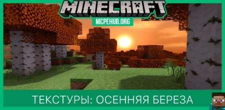 Autumn Birch — screenshot 1