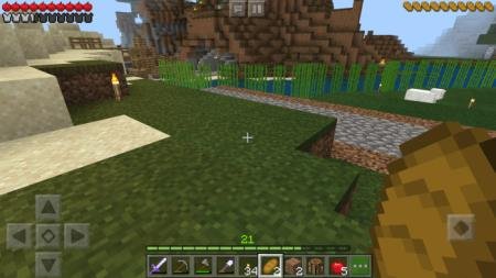 Variety Hunger & Health Textures — screenshot 3