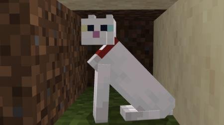Nice Cats Textures — screenshot 3