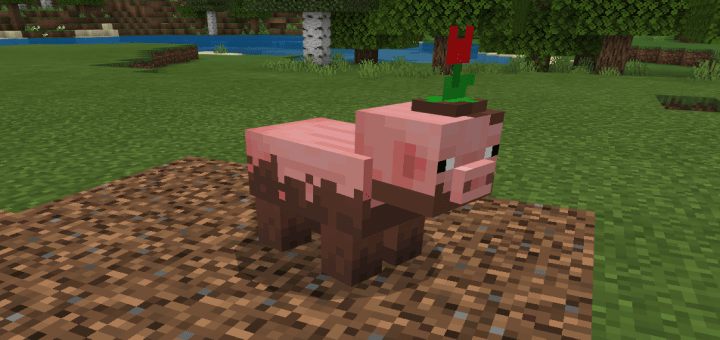 Muddy Pig Textures — screenshot 1