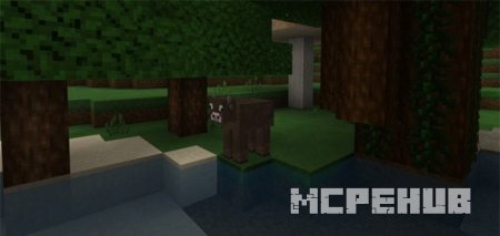Pamplemousse Textures — screenshot 5