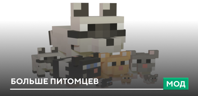 Raccoon in Suit Skin — screenshot 5
