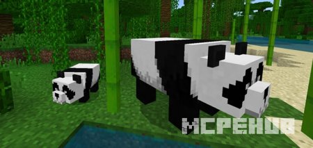 Panda with Glasses Skin — screenshot 6