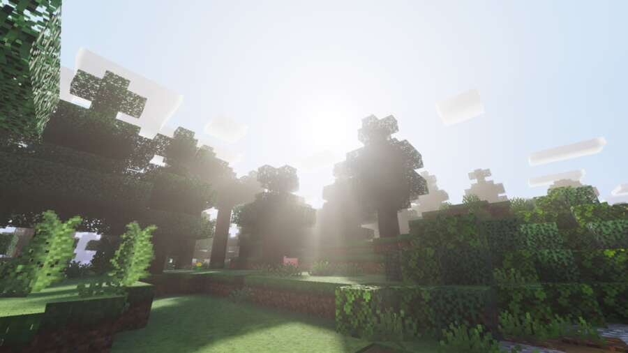 Xiao Reimagined Shaders — screenshot 5