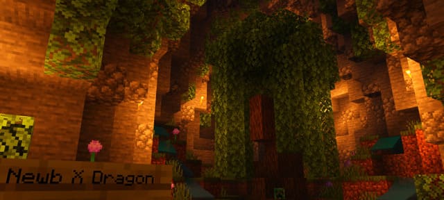 Newb X Dragon Shaders — screenshot 8