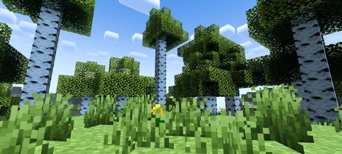 Newb Complementary Shaders — screenshot 3