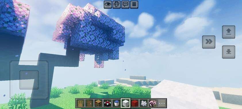 BSL Vibrant Visual Graphic Pack Shaders — screenshot 2