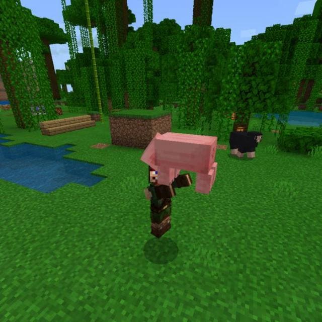 Pick Up & Carry Mod for Minecraft — screenshot 3