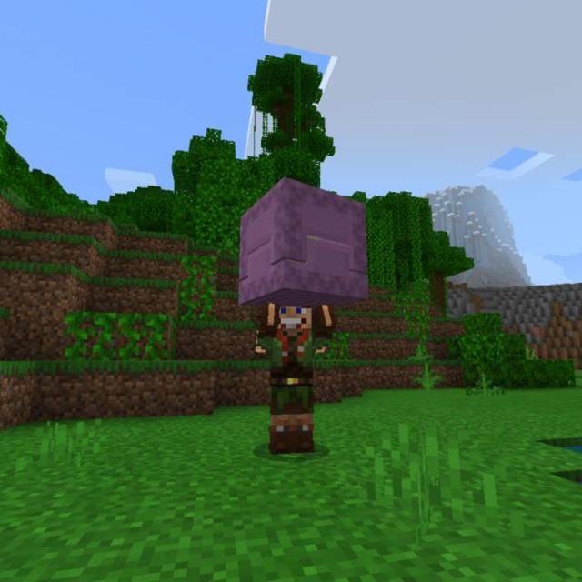 Pick Up & Carry Mod for Minecraft — screenshot 6