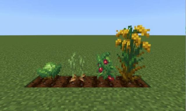 Farmer's Delight 2 Mod for Minecraft — screenshot 8