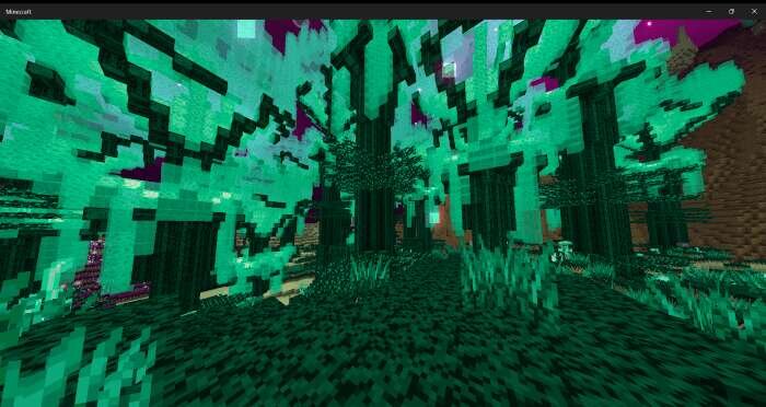 The Everything Update — screenshot 3