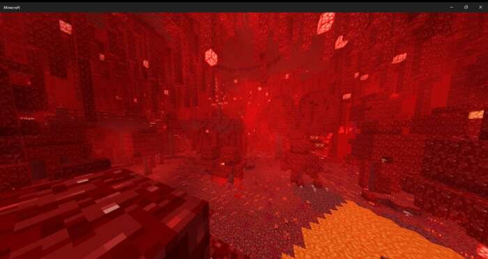The Everything Update — screenshot 5