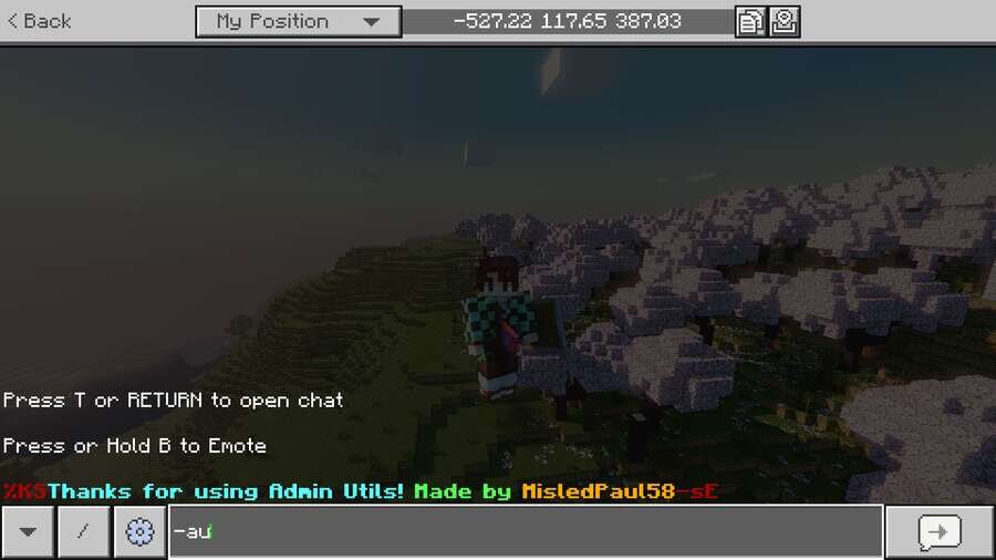 AdminUtils — screenshot 2