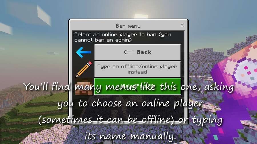 AdminUtils — screenshot 7
