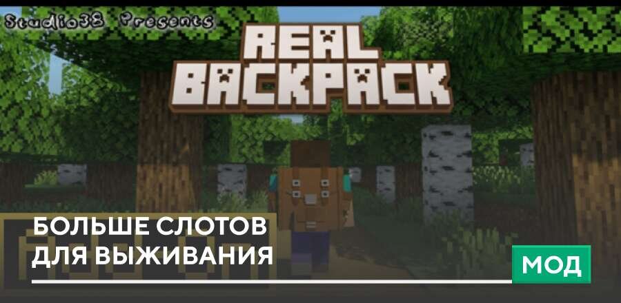 Real Backpack — screenshot 1