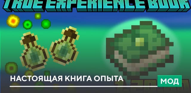 True Experience Book — screenshot 1