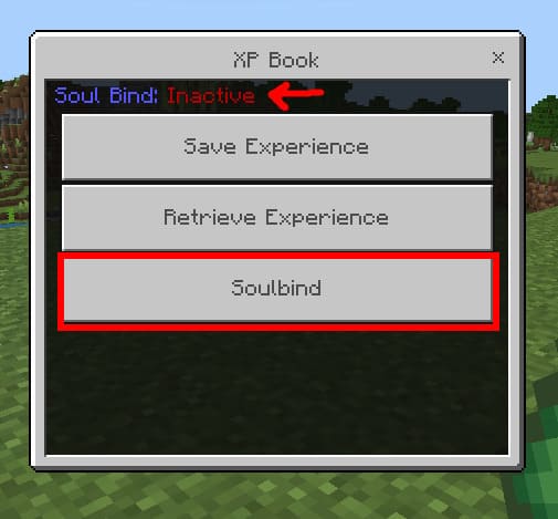 True Experience Book — screenshot 5