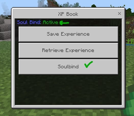 True Experience Book — screenshot 6