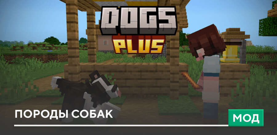 Dogs Plus — screenshot 1
