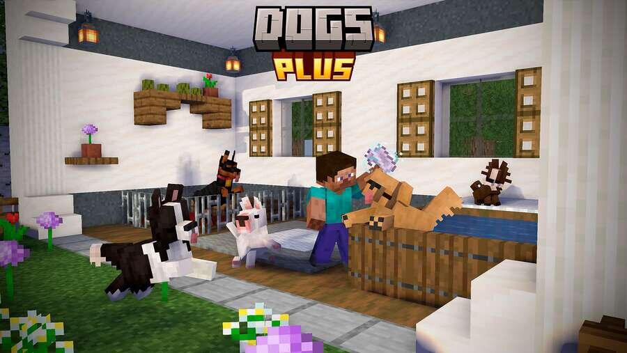 Dogs Plus — screenshot 2