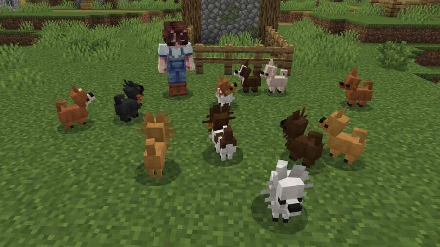 Dogs Plus — screenshot 3