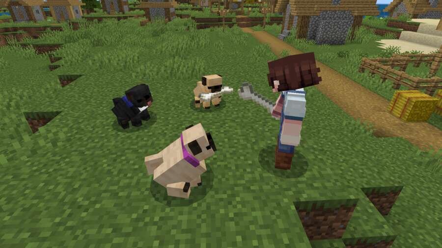 Dogs Plus — screenshot 5