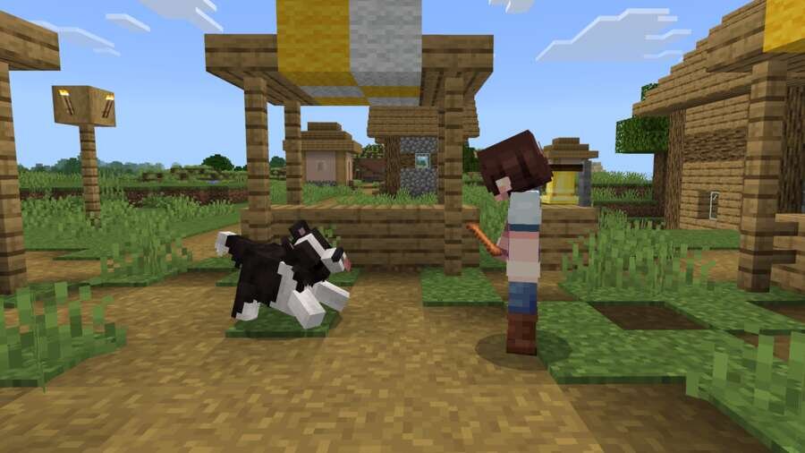 Dogs Plus — screenshot 6