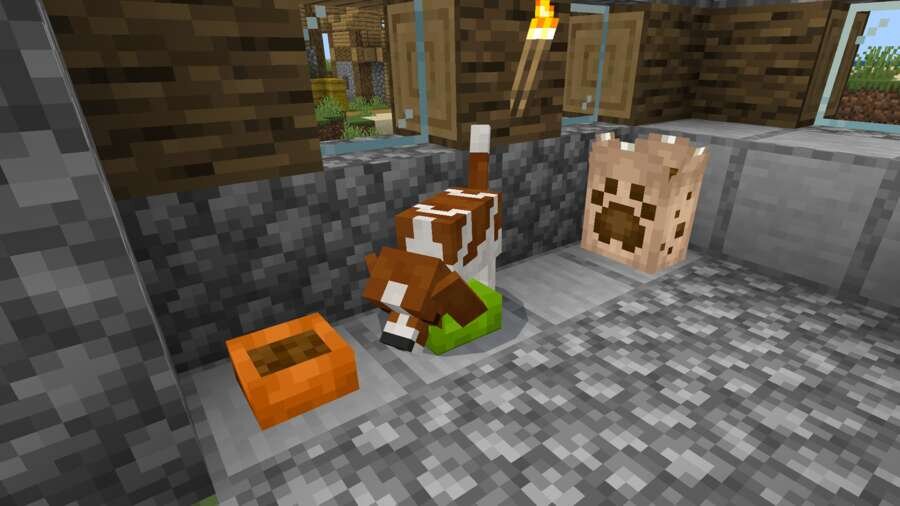Dogs Plus — screenshot 7