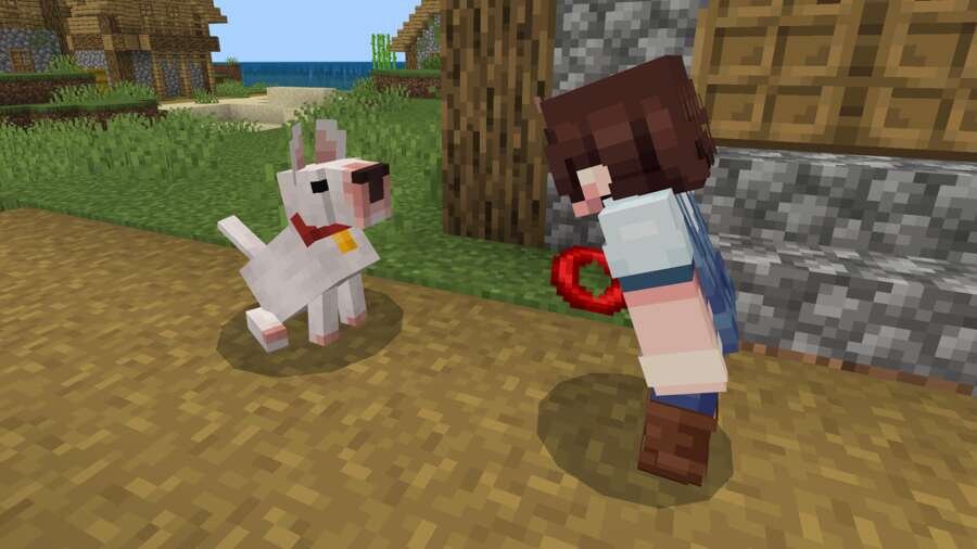 Dogs Plus — screenshot 8