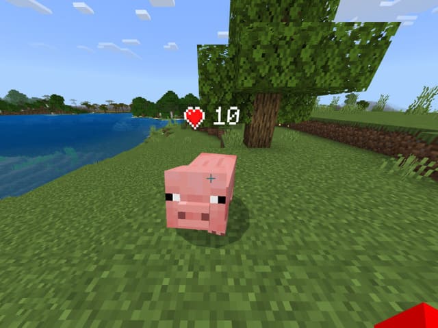 Health Display for Entities & Players — screenshot 3